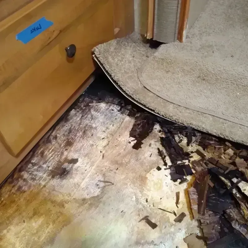 Wood Floor Water Damage in West Linn, OR